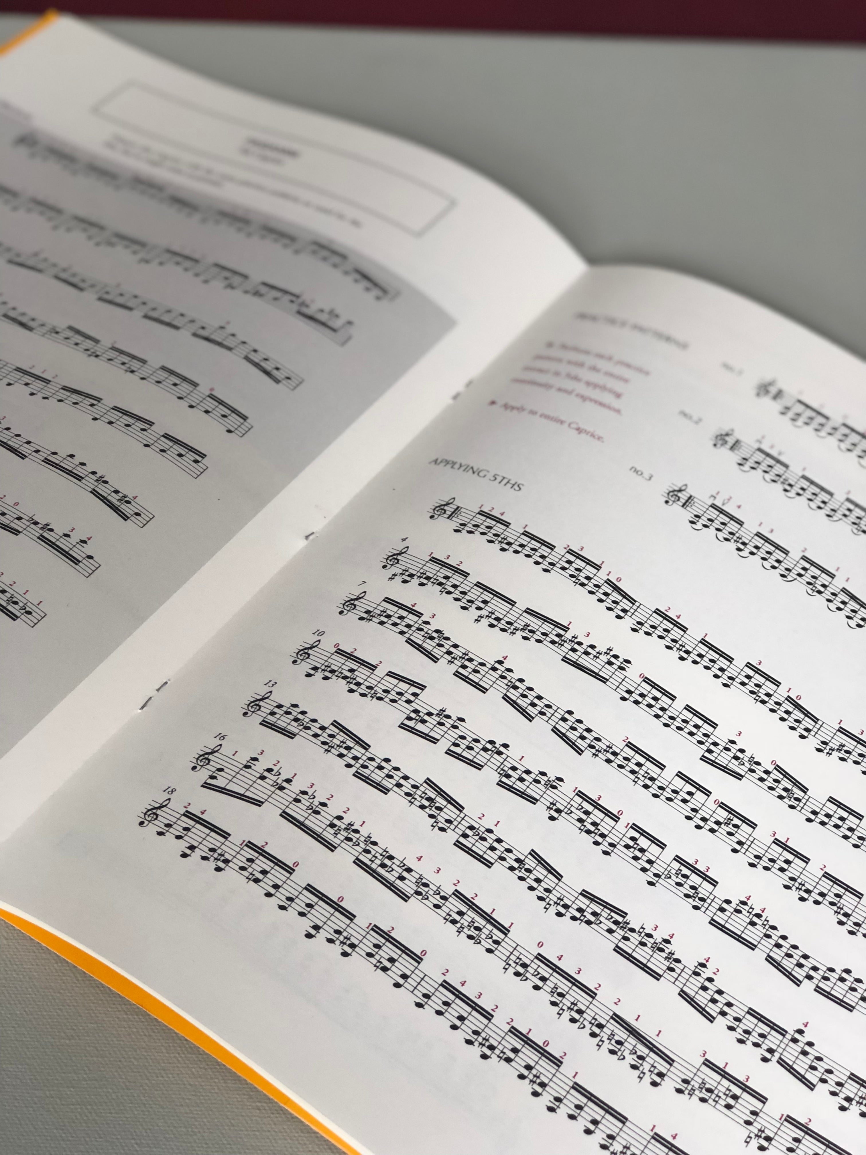The Violin in 5ths: Developing Intonation and Sound